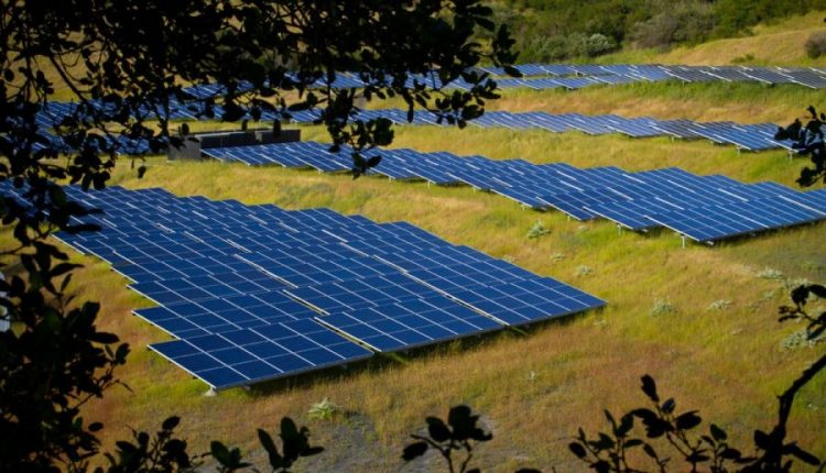 بولندا رابع أكبر سوق للطاقة الشمسية وكوريا الجنوبية تتجهز لاستخدام الطاقة المتجددة