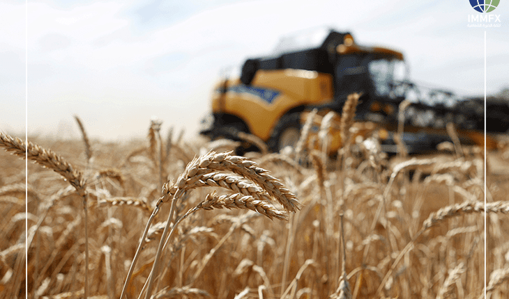 القمح يواصل صعود على وقع الأزمة بين روسيا واوكرانيا