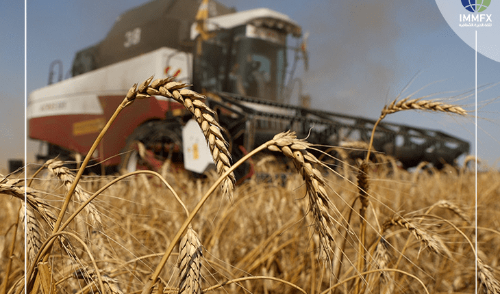 نقص محصول الحبوب في أوكرانيا
